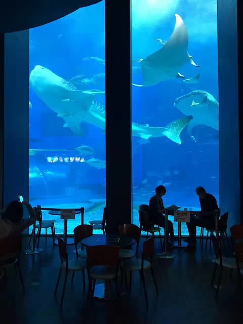 Hvad er de vigtigste designpunkter for aquarium -visningsvinduer?