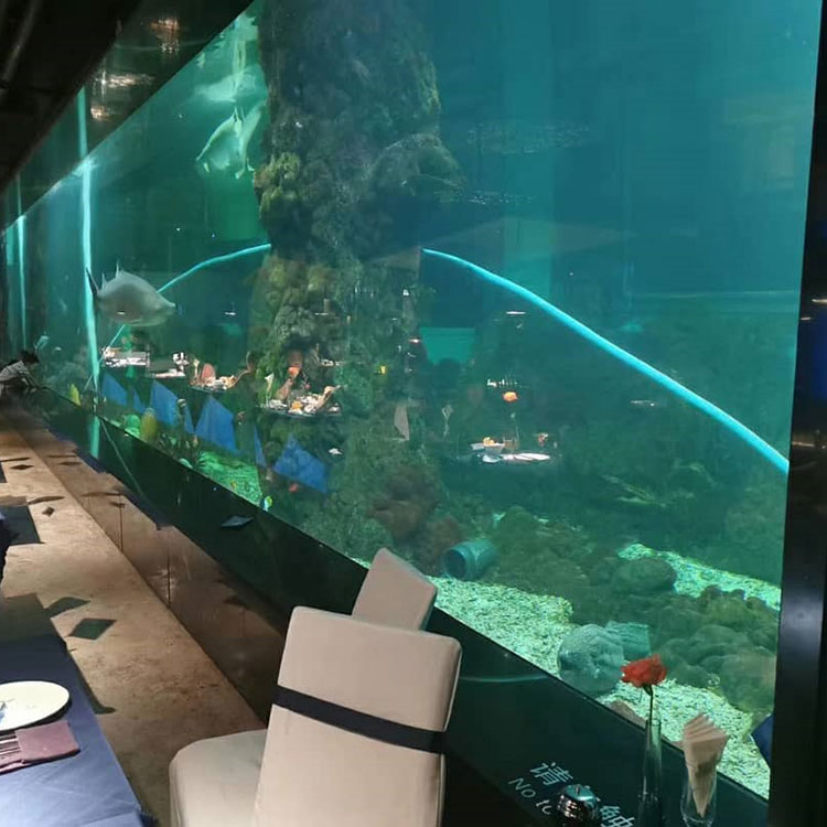 Akryl Aquatic Restaurant Design